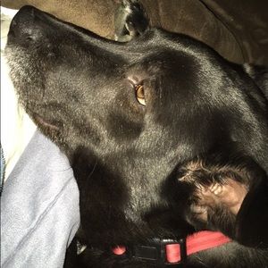 Meet your Posher, Jacob